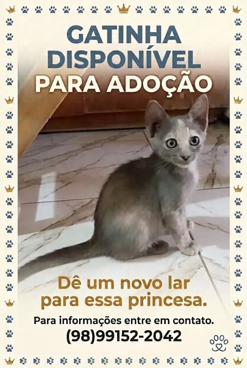 Doação 