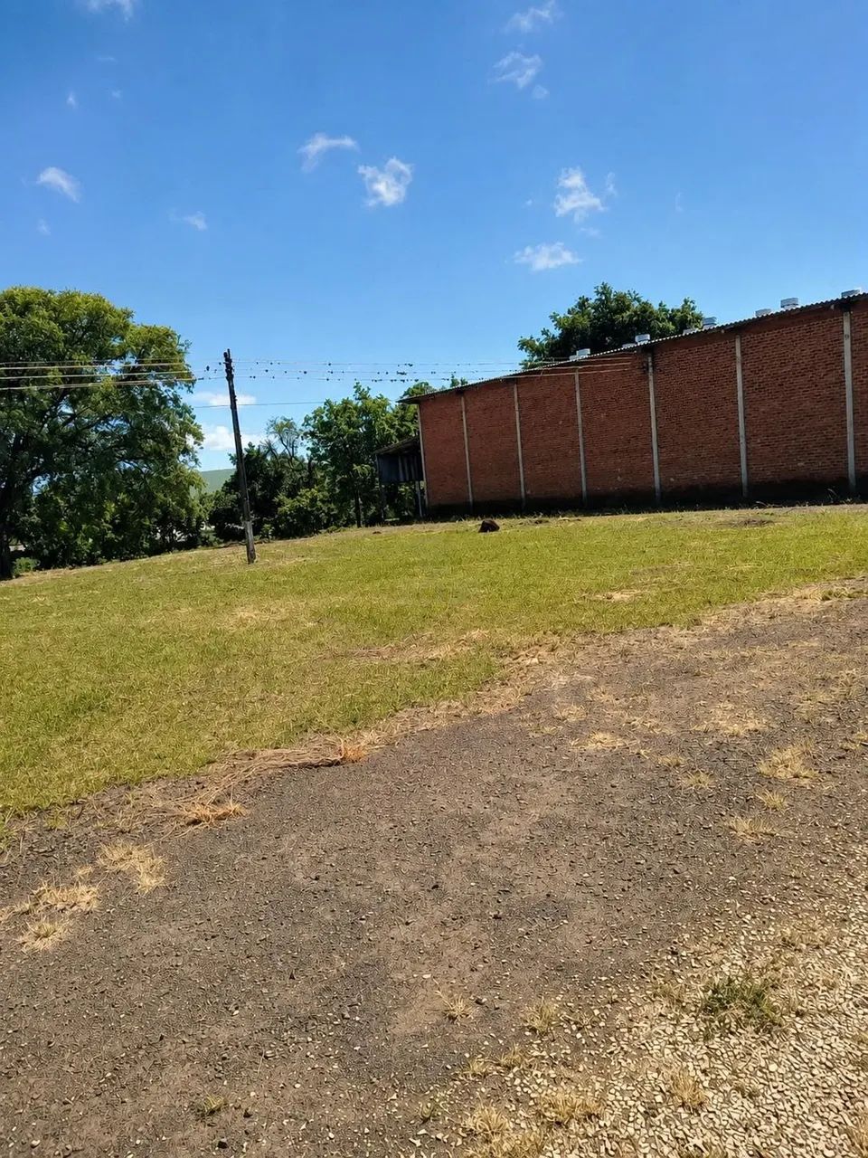 Galpão para Locação  11.000 m²  Faxinal - PR