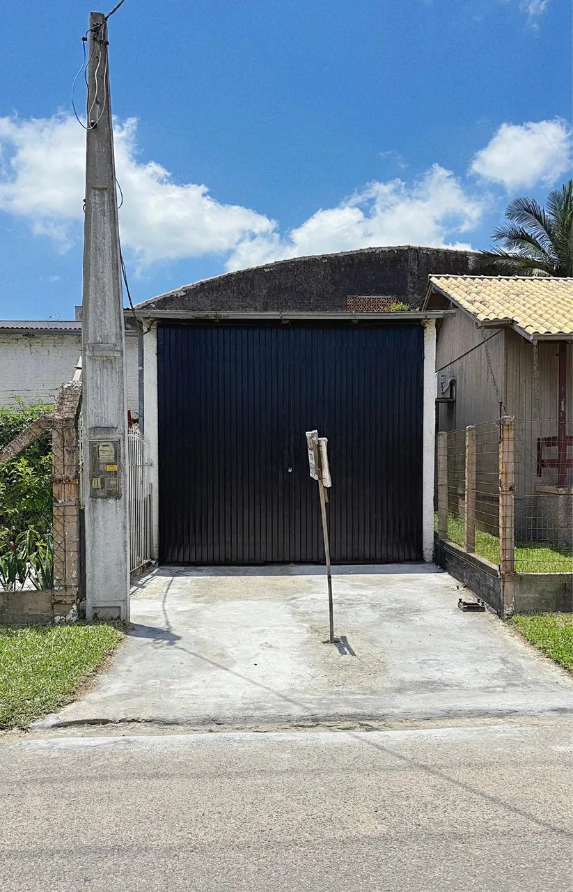 Foto - Tubarão - Humaitá de Cima