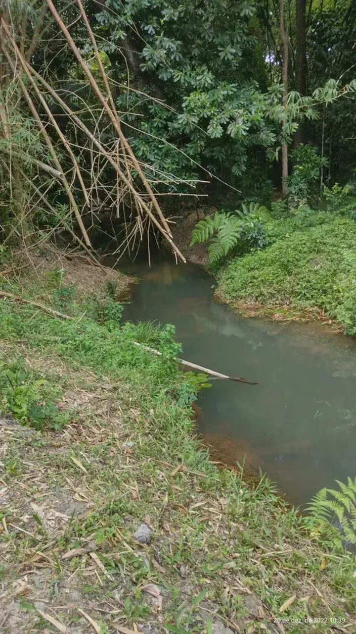 propriedade em Aldeia, um verdadeiro paraíso com e benfeitorias, poço, riacho - Foto 4
