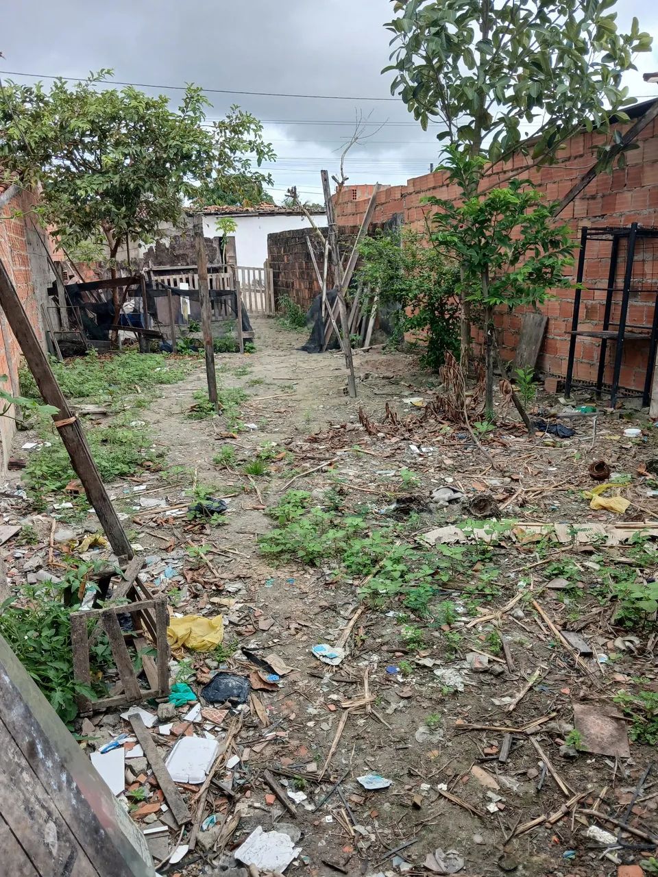 Terreno Cidade universitária 