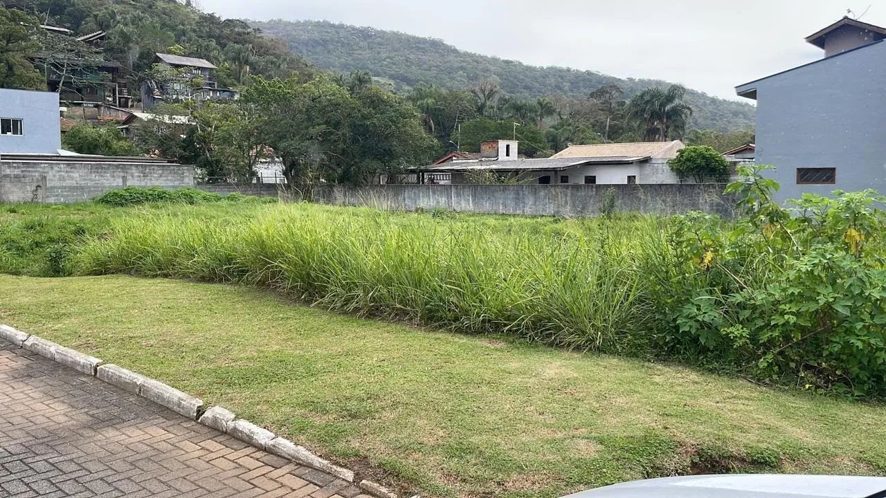 Terreno para Venda em Florianópolis, Morro das Pedras - Foto 4