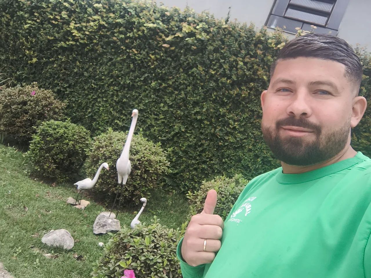 Serviço de jardinagem  - Foto 4