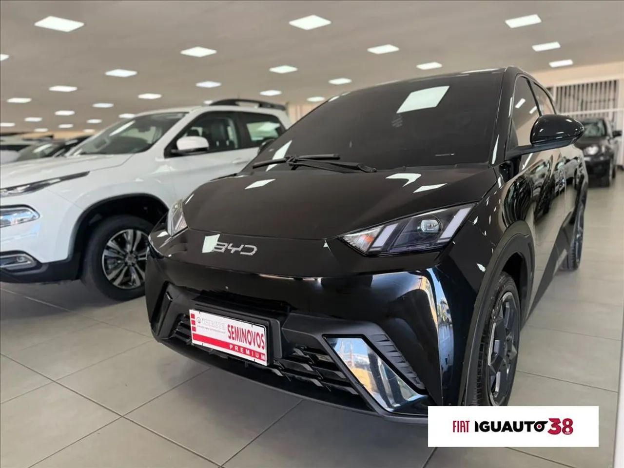 BYD Dolphin Mini (Elétrico) 2025 - Foto 3