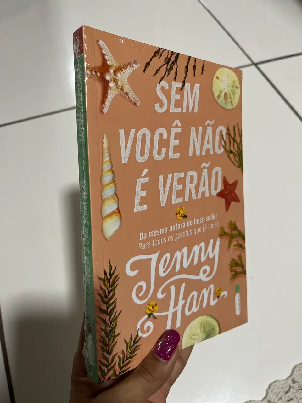 Vendo Livro: Sem você não é verão  - Foto 3