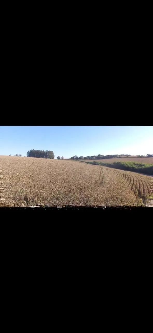 Drone dji Phantom 4 (Leia o anuncio) - Foto 3