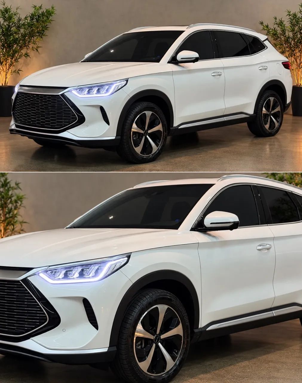 BYD Song Plus (HIBRIDO) 2024