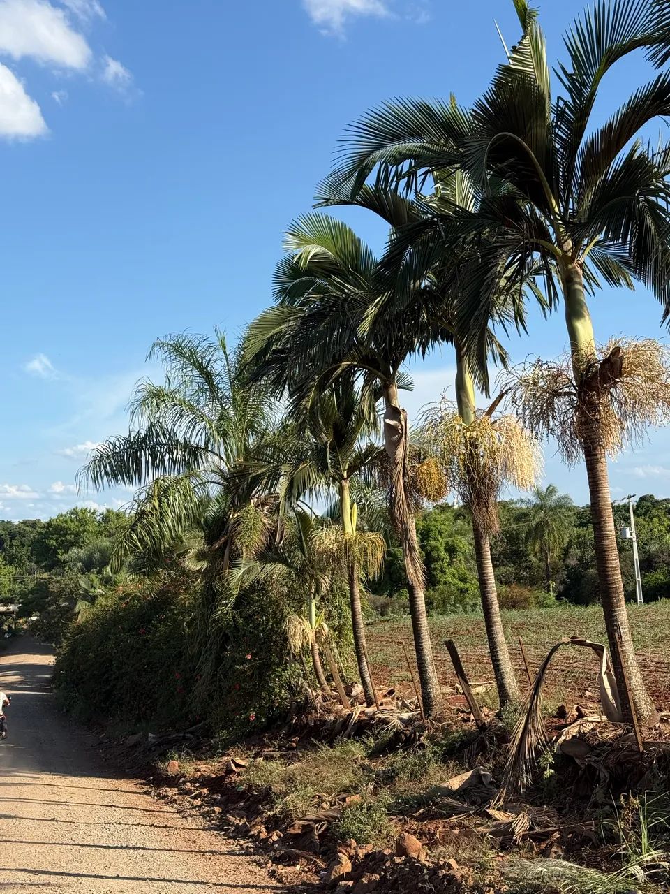 Vende-Se Uma Chácara em 1º De Maio-Pr C/ Acesso ao Rio R$70mil ou Entrada Mais Parcelas  - Foto 6