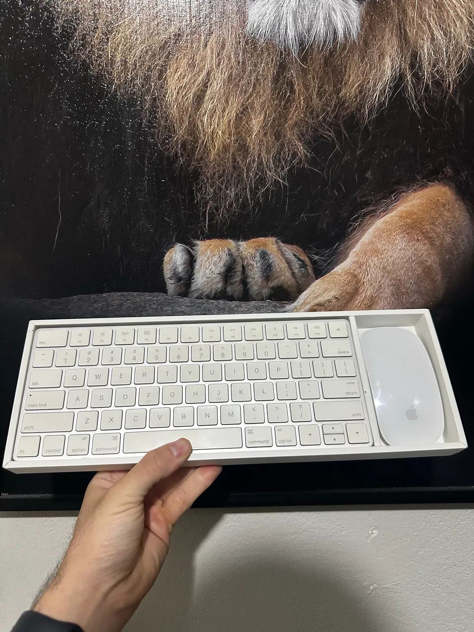 Kit Apple Magic Keyboard + Magic Mouse - Foto 5