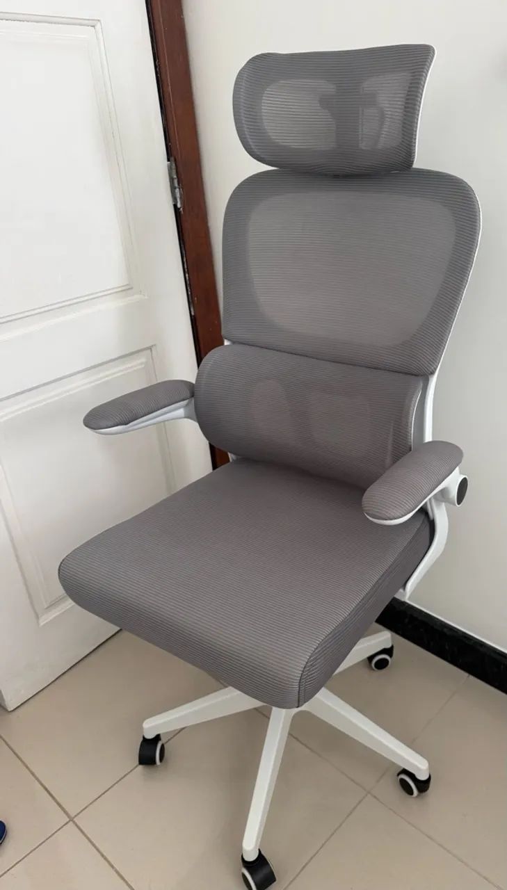 Cadeira ergonômica comprada dia 25/09