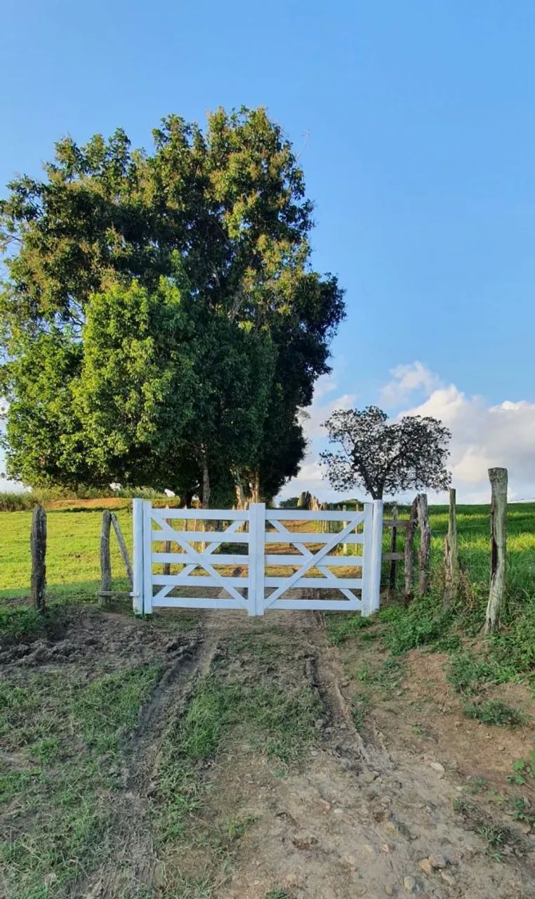 Sitio no interior
