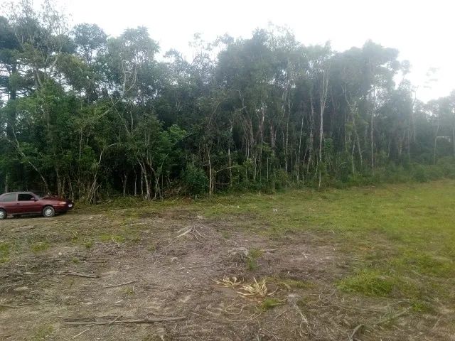 OPORTUNIDADE! TERRENO PARA PROJETOS DE CHACARAS  - Foto 3