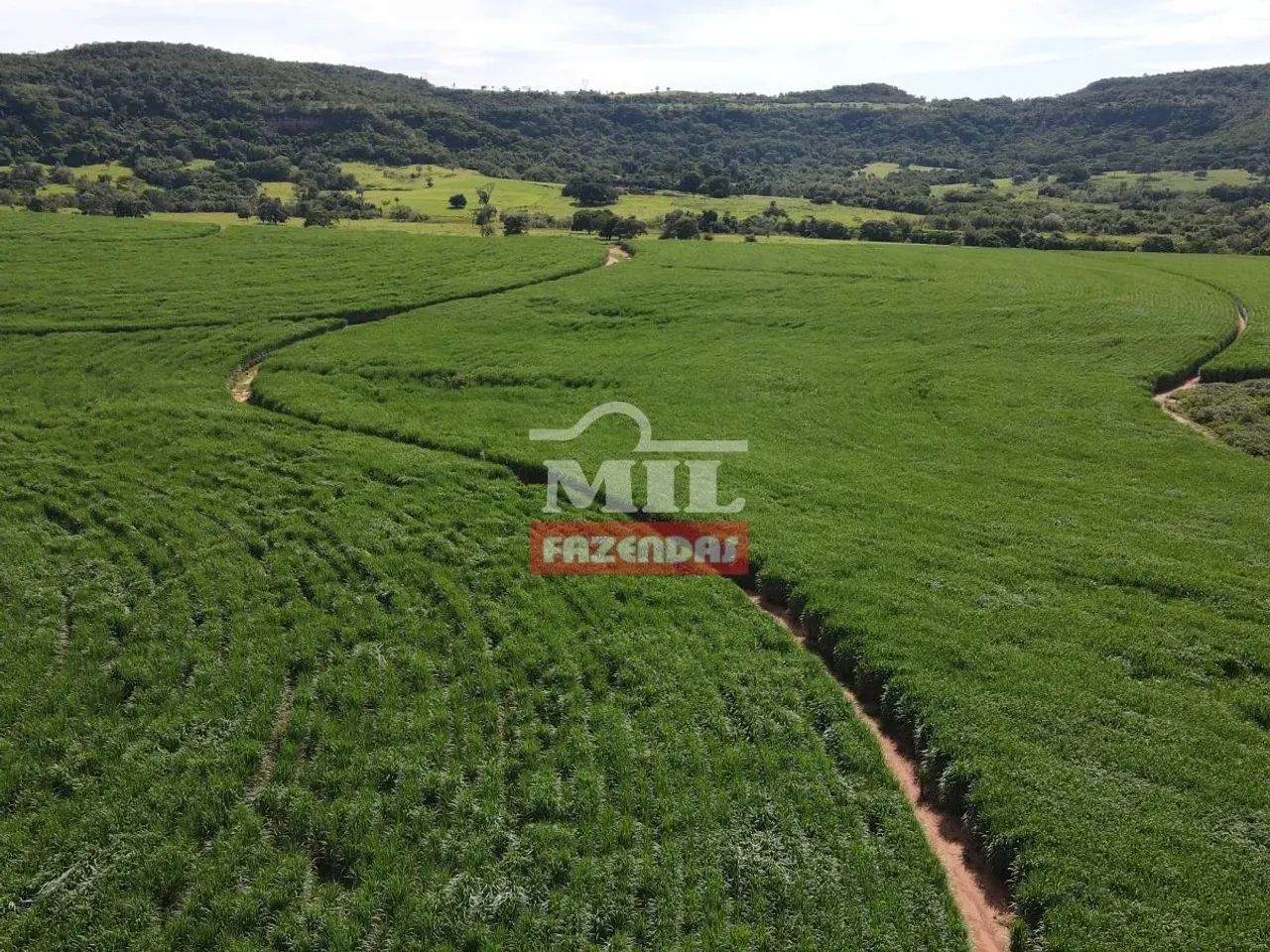 Fazenda 90 Alqueires (440 Hectares ) Prata - MG