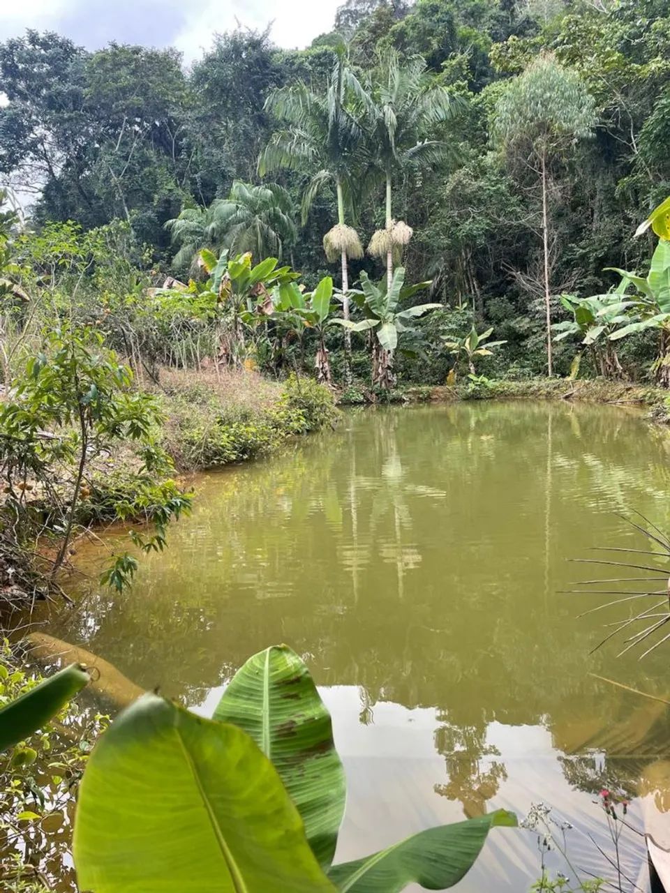 Sitio em Santa Leopoldina  - Foto 5