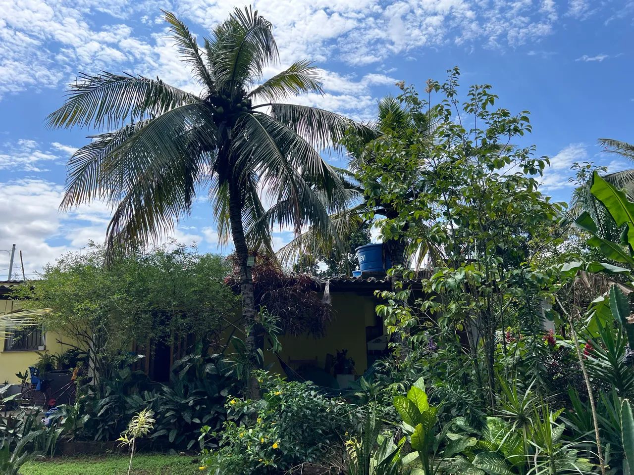 Chácara com muitas frutíferas  - Foto 2