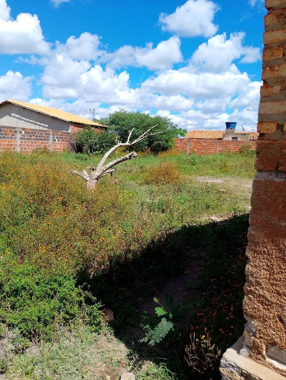 Terreno  - Foto 3