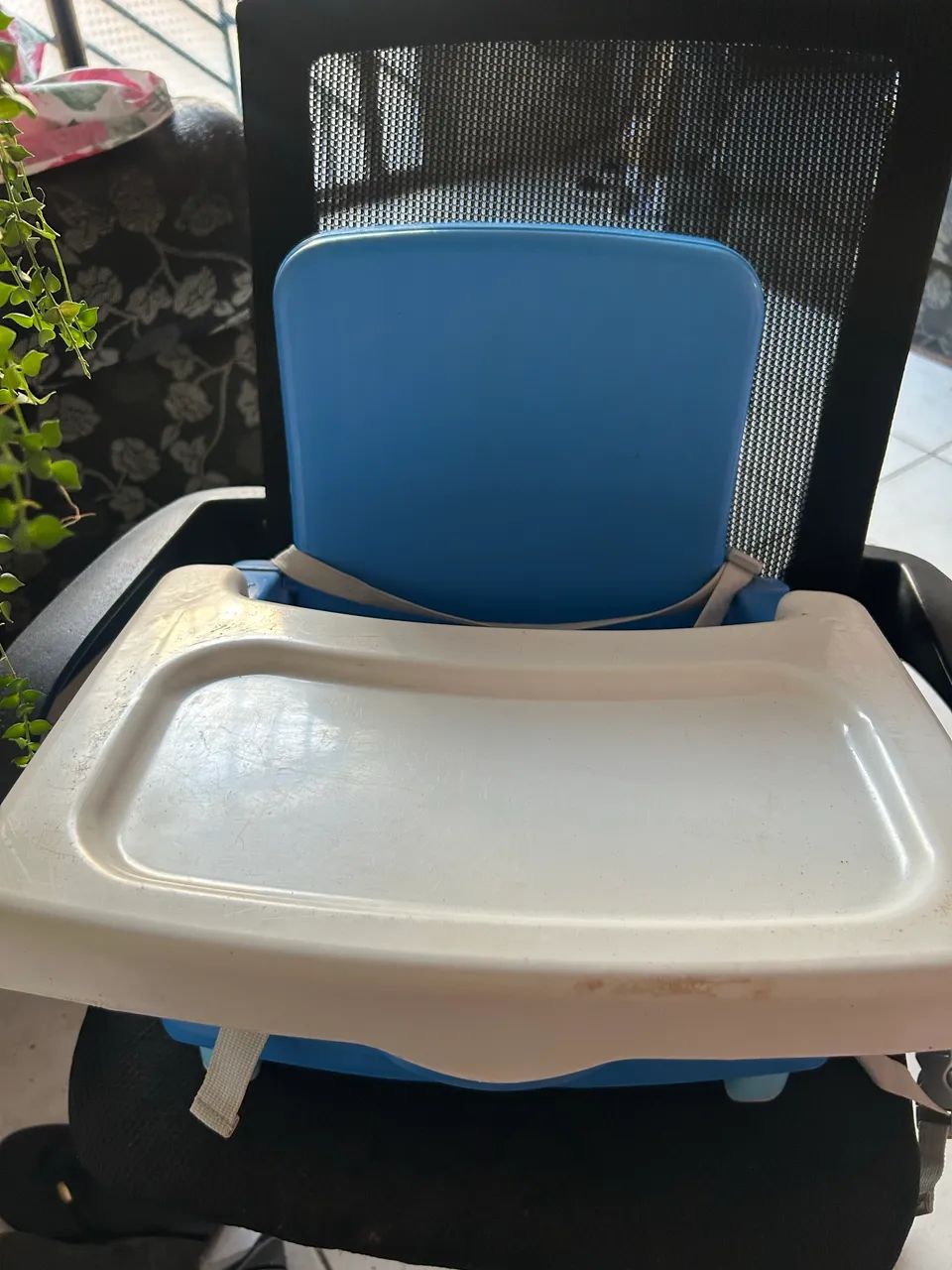 Cadeirinha de alimentação  - Foto 2