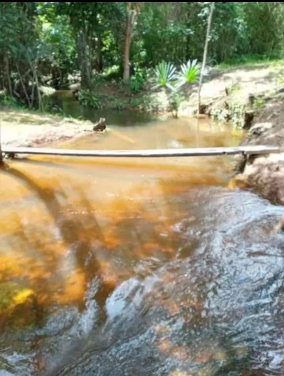 Fazenda a venda - Tocantins  - Foto 5