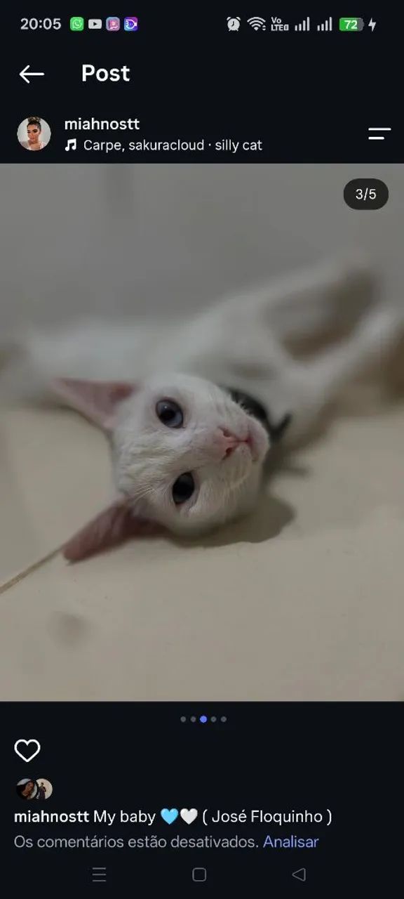 Gatos para doação  - Foto 2