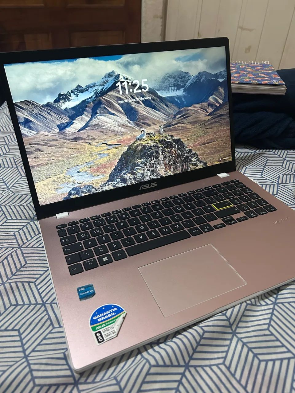  Notebook Vivobook Go 15 Intel Celeron (Rosa)