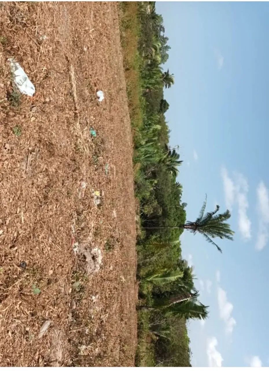 Terreno em São Luís 