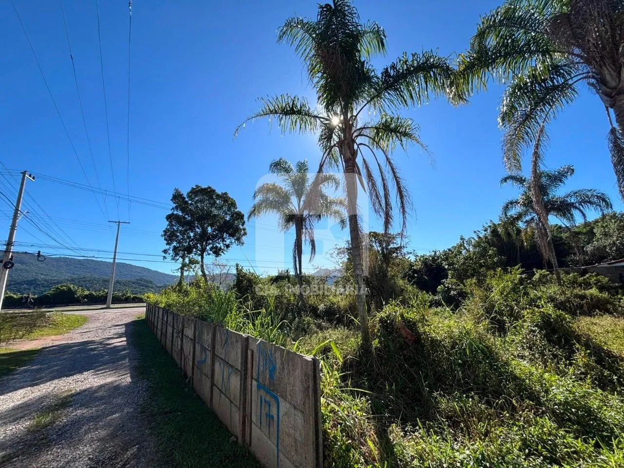 Terreno com vista da Lagoa da Conceição - Foto 4