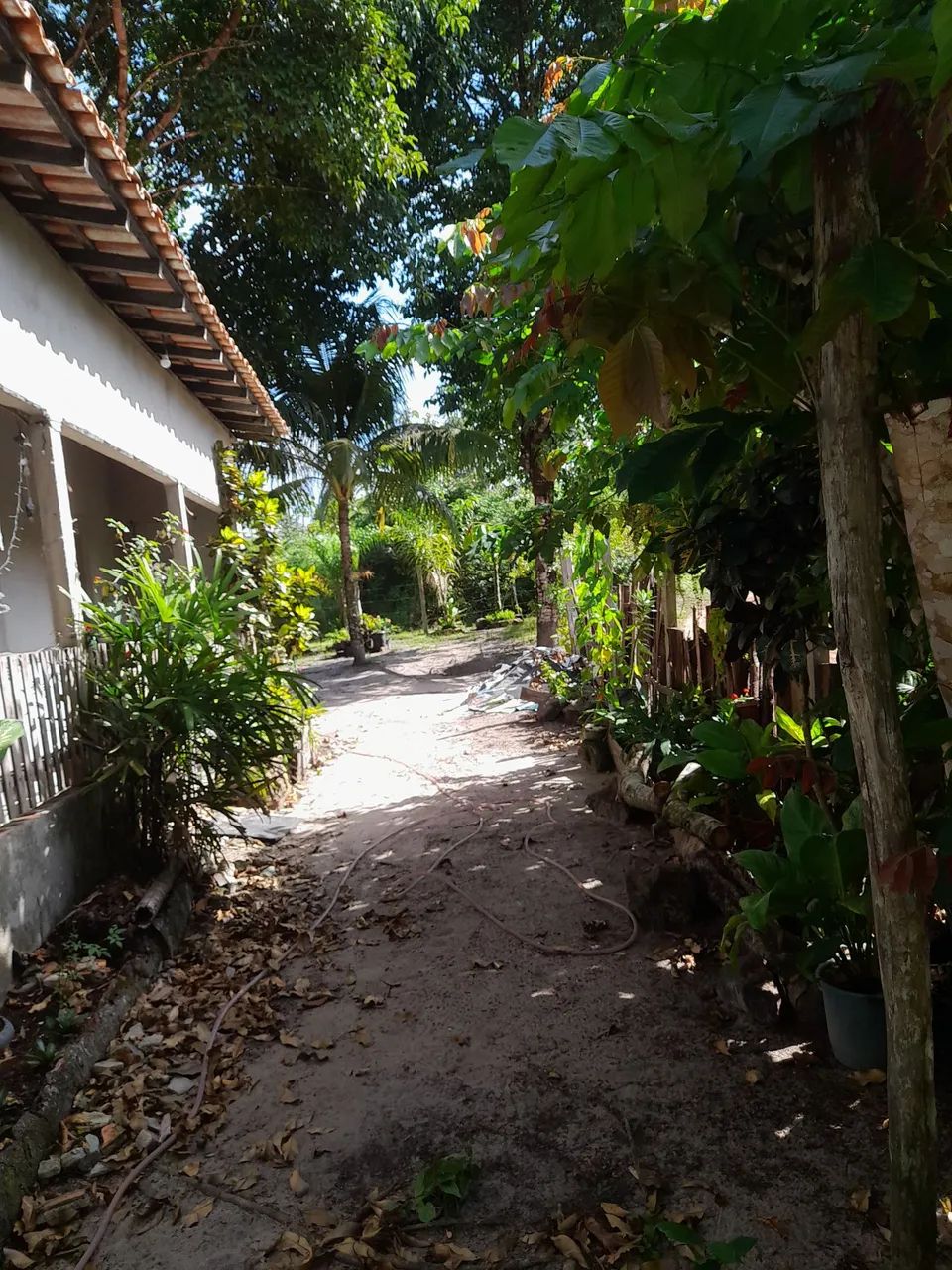Foto - Colares - 