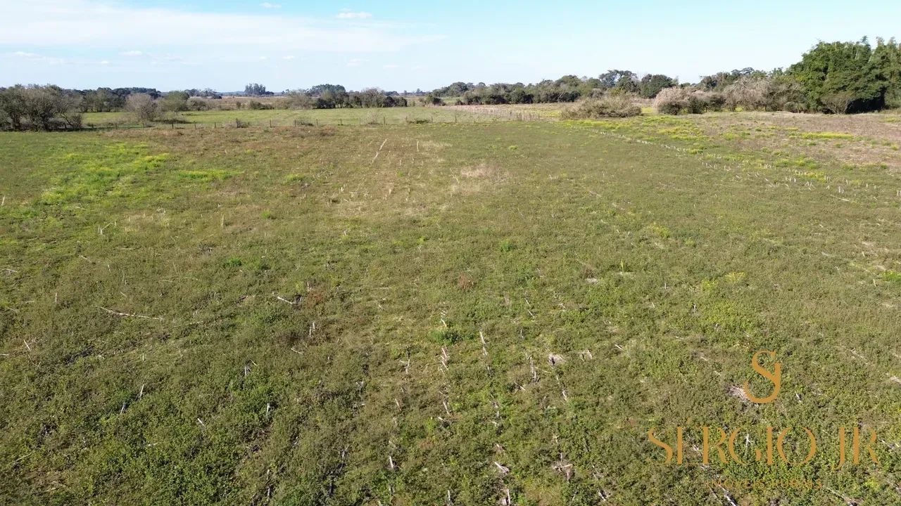 Sítio com 8,2h, belíssima casa com 300m², quiosque em Triunfo - Foto 10