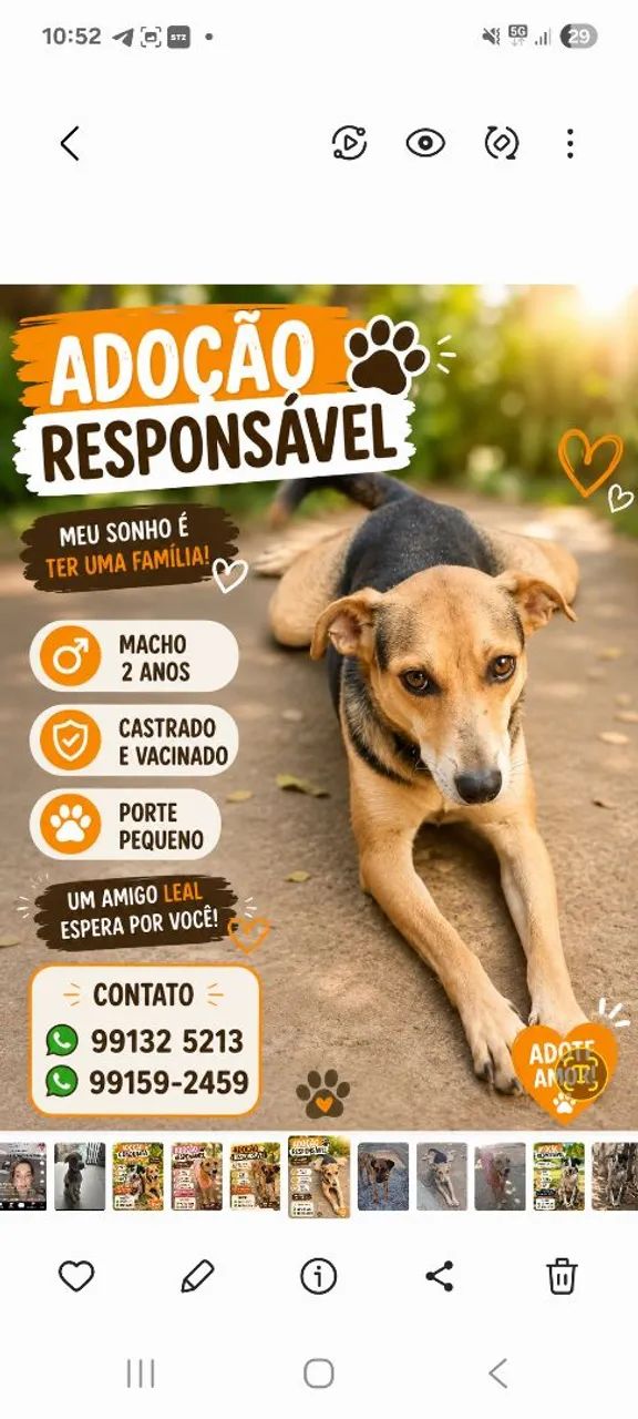 Adoção Conjunta Responsável  - Foto 2