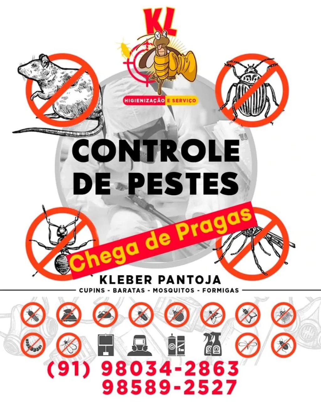 DEDETIZAÇÃO KL DEDETIZAÇÃO  - Foto 4