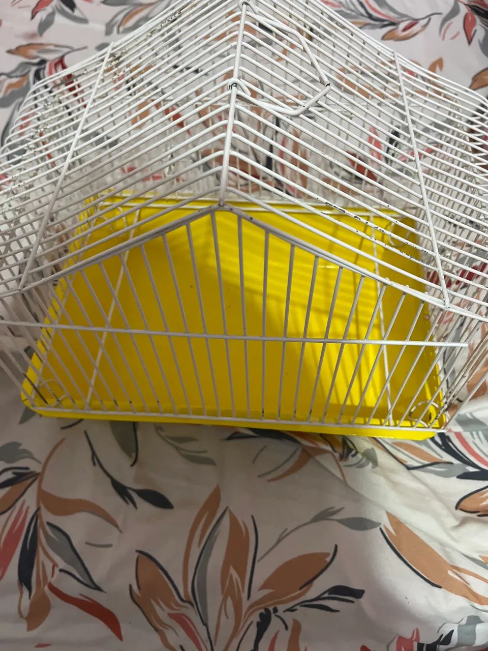 Gaiola de hamster 