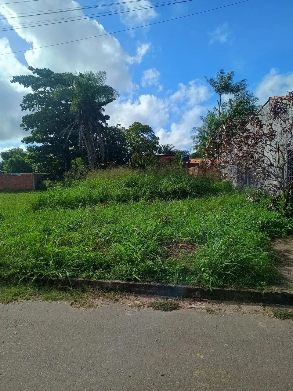 Terreno grande - Foto 2