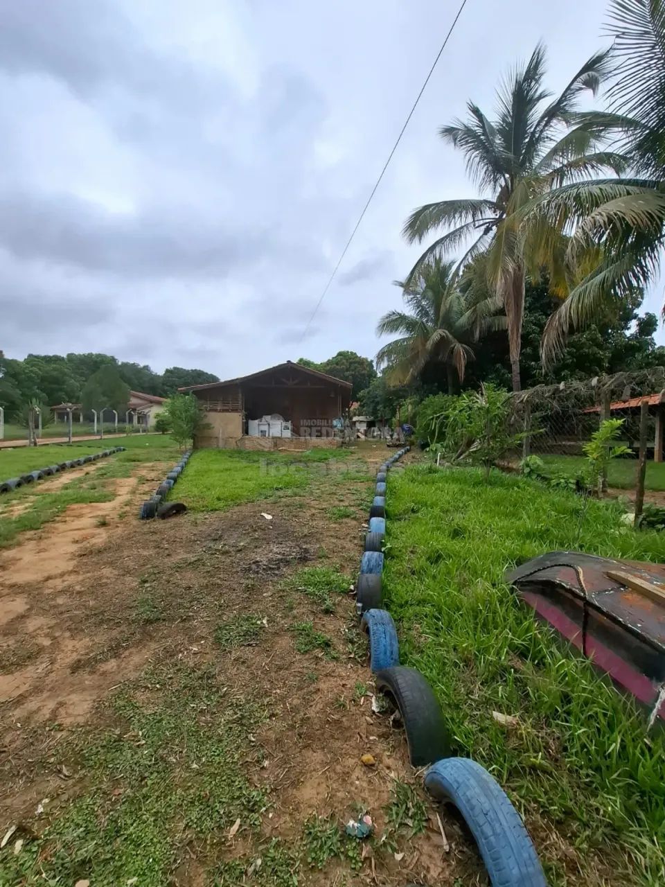 Venda - Chácara em Adolfo - Foto 2