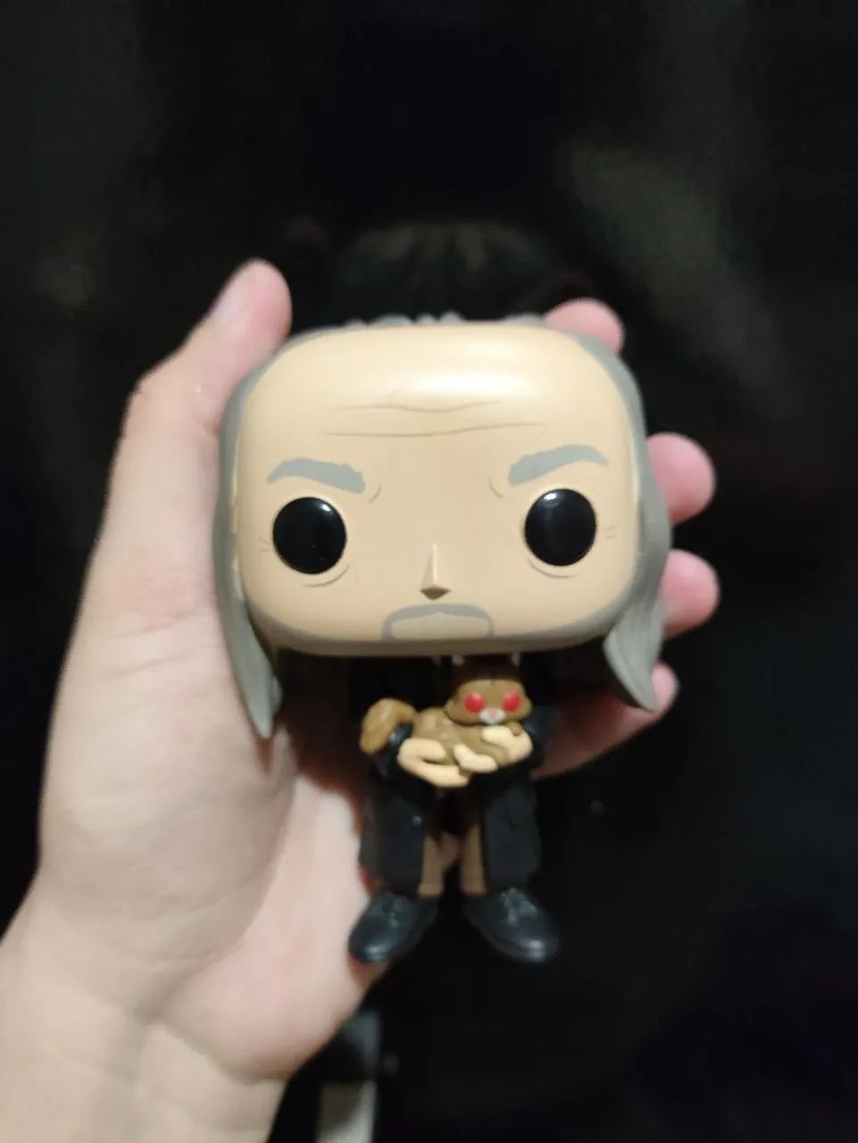 Funko Pop Filch & Mrs. Norris Harry Potter