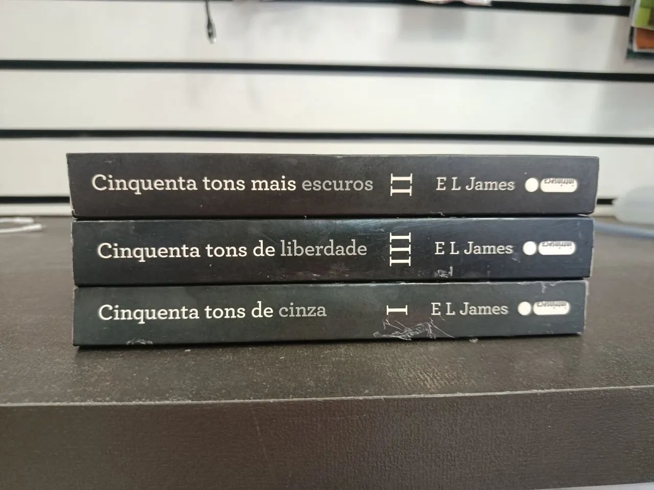Livro tons de cinza  - Foto 2