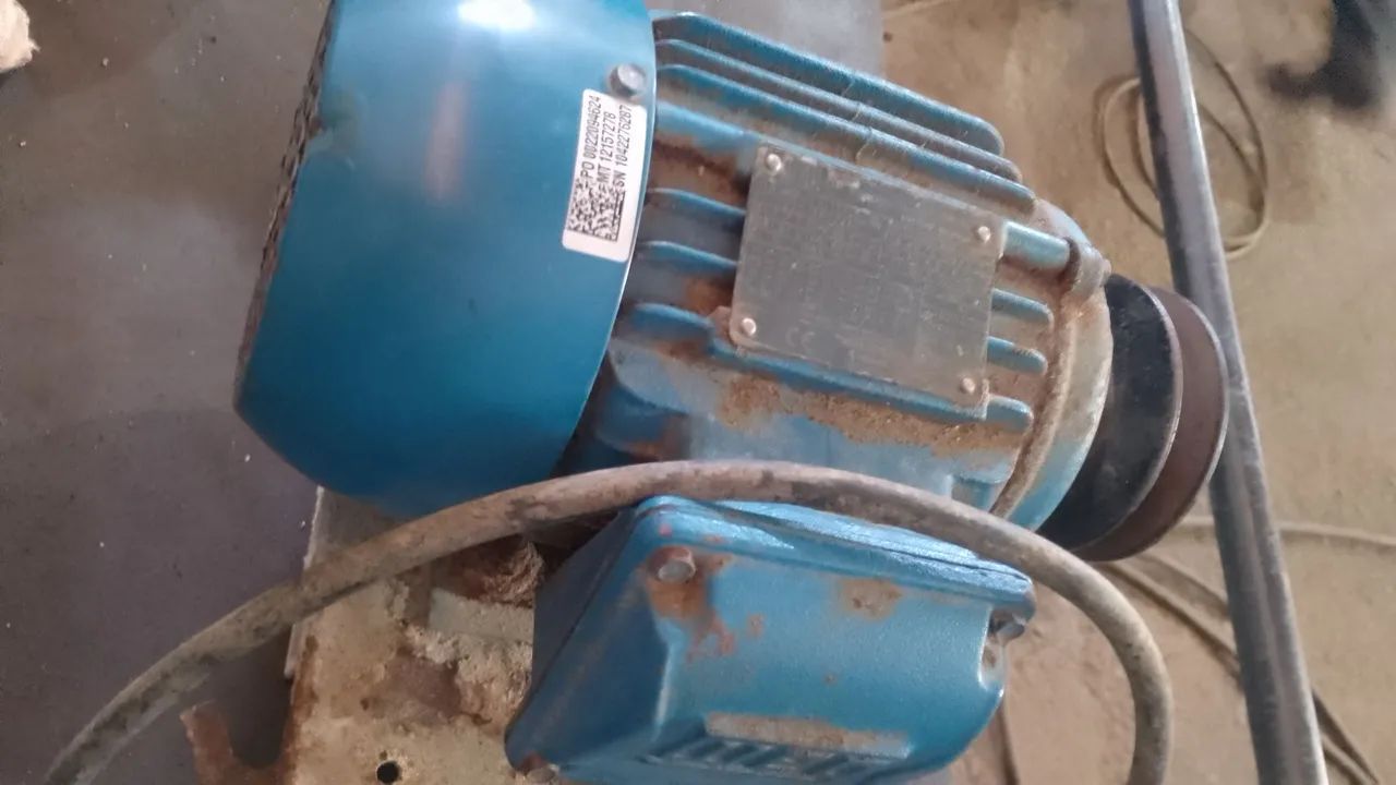 Motor Weg 3 cv - Foto 2