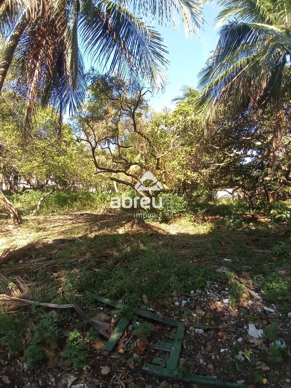 Terrenos Área em Natal - Foto 3