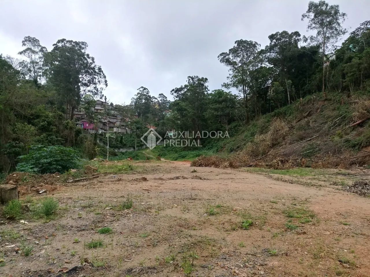 Terreno no bairro Carvoeira - Foto 2