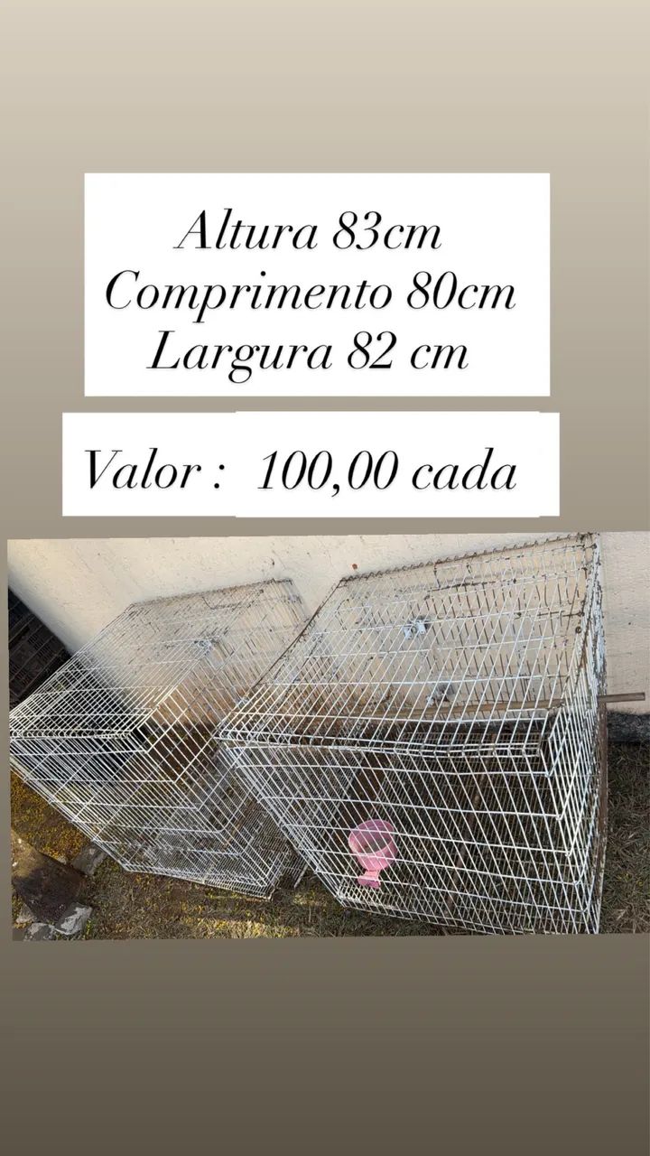 Gaiola