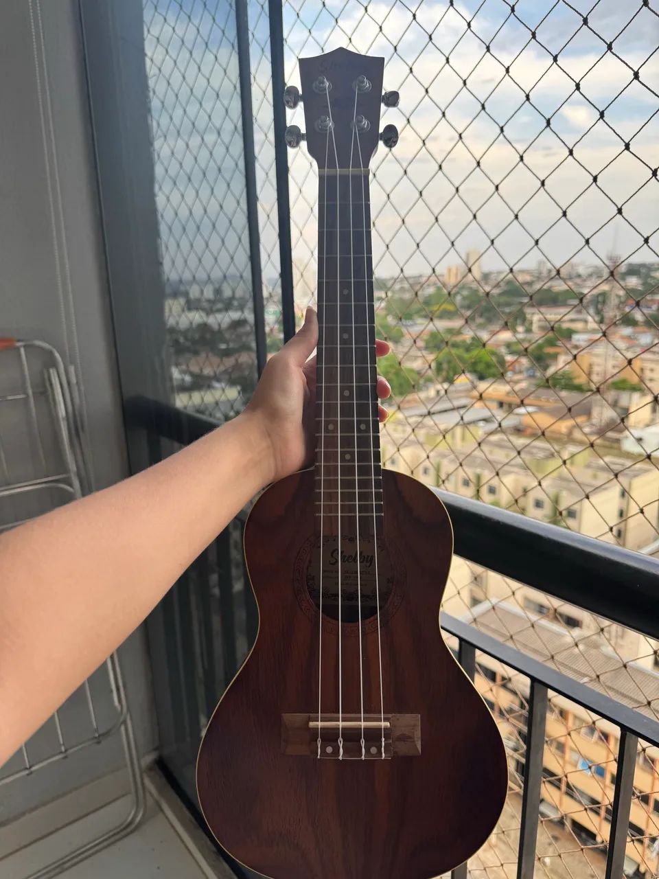 Ukulele concert