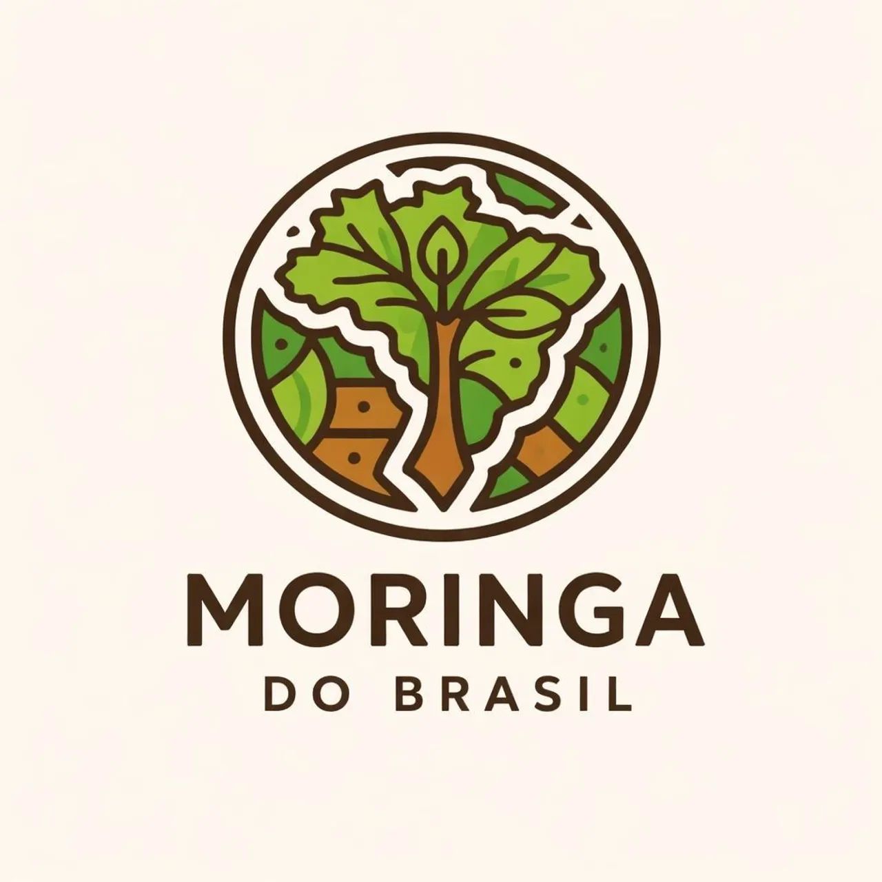 100 Sementes Selecionadas de Moringa Oleifera para lavoura  - Foto 2