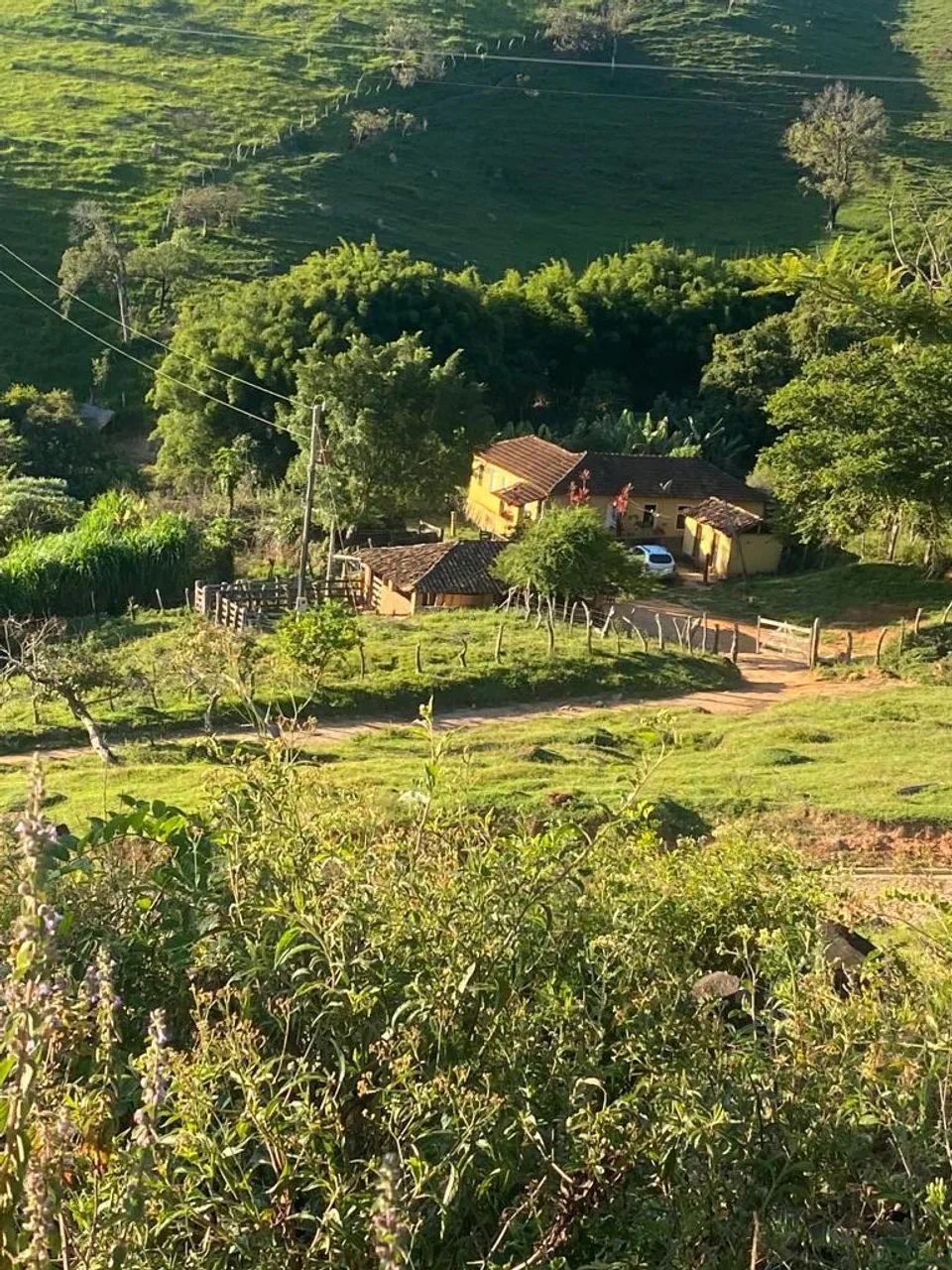 Fazenda de 12 ha em Piracema- Mg - Foto 4