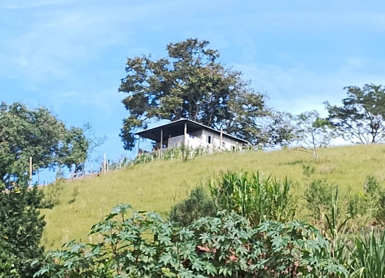 Excelente Chácara com 5.000m² Piranguinho MG - Foto 3