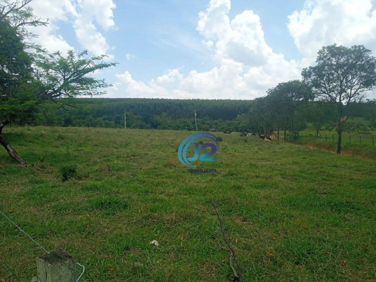 Sítio em Estiva Gerbi /SP - Foto 4