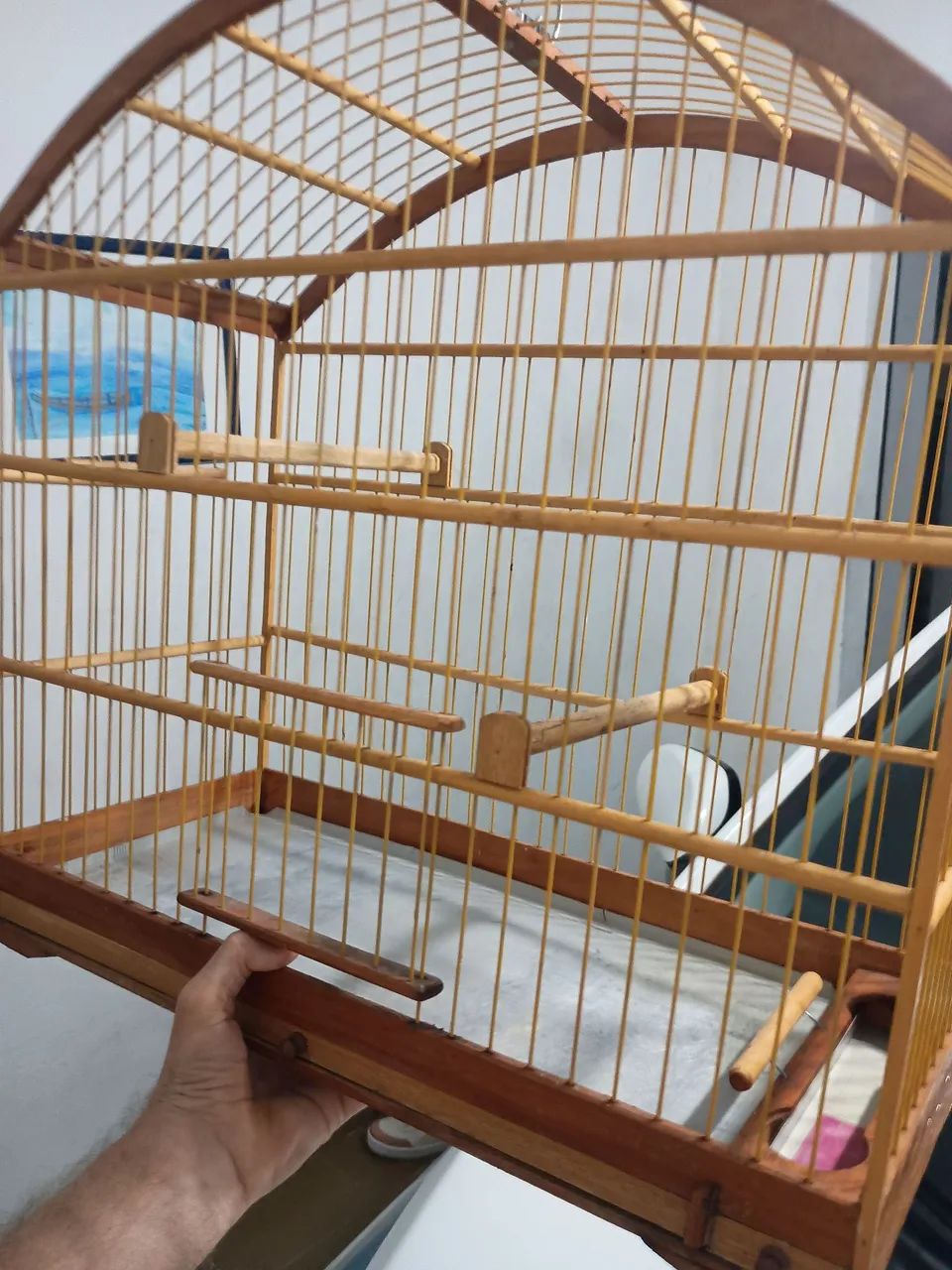 Animais de estimação e acessórios  - Foto 2