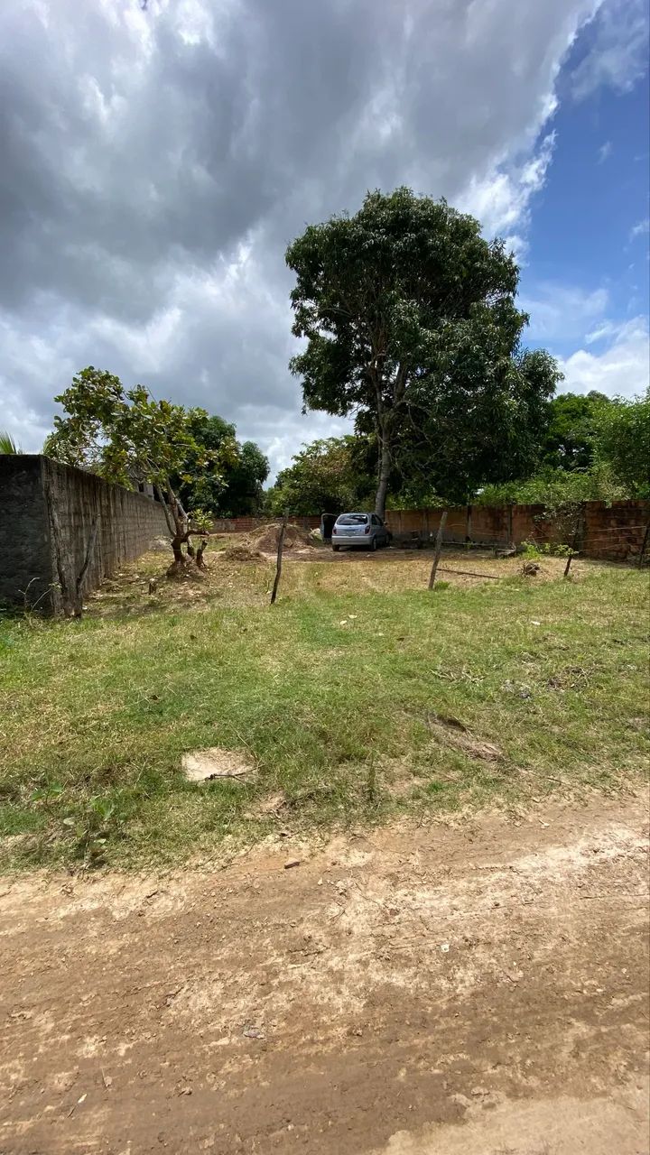 Terreno no pai André  - Foto 5