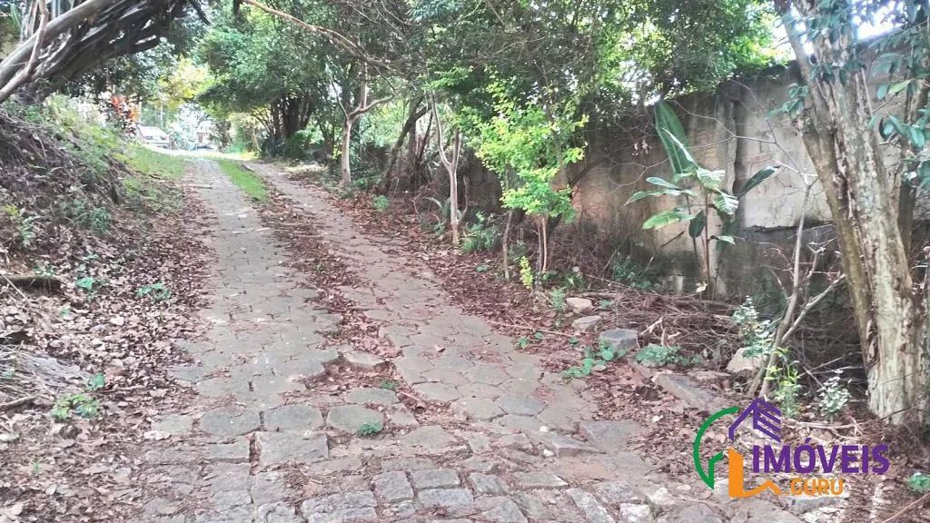 AREA - LENHEIRO - SP - Foto 3