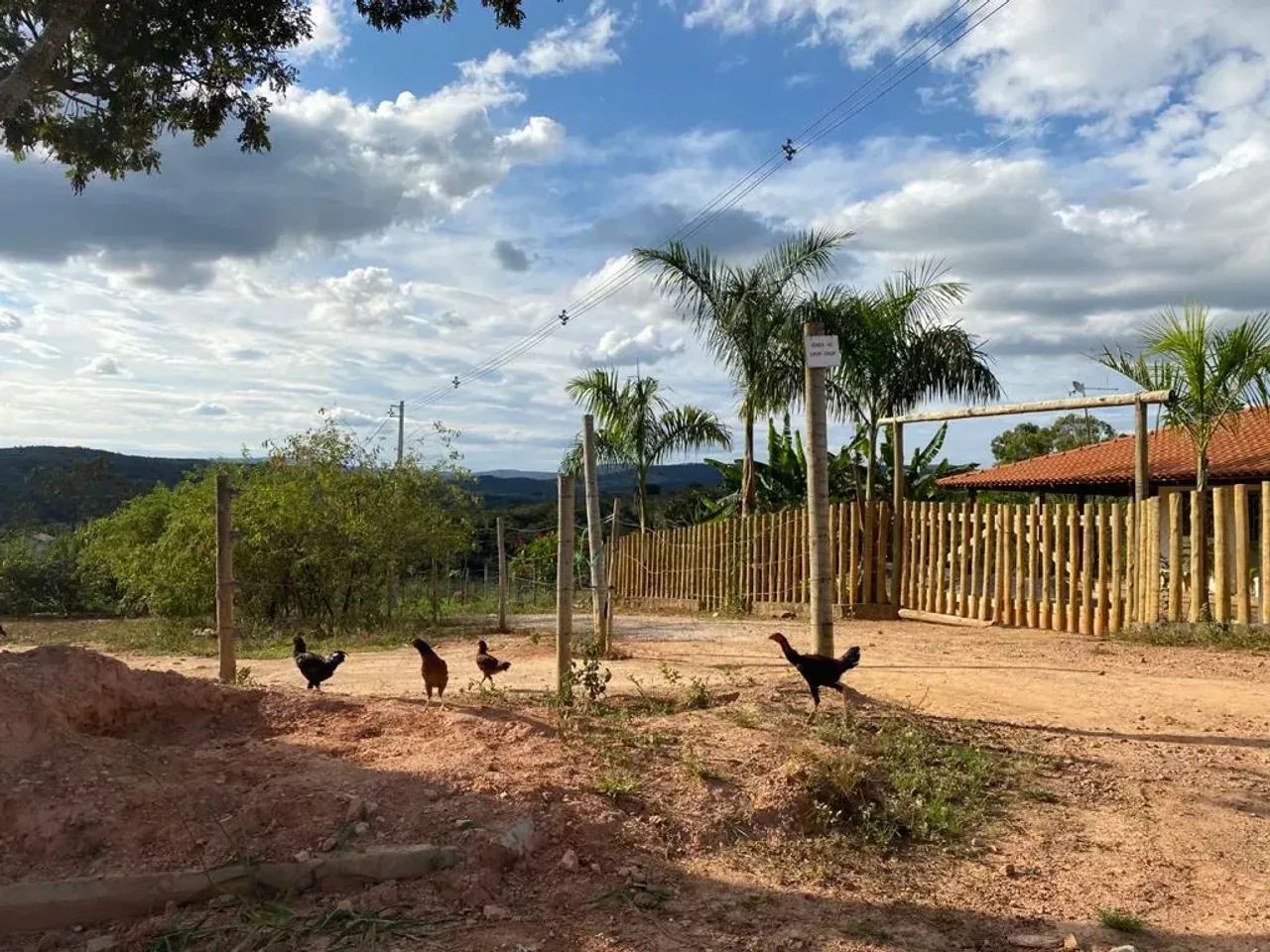 Chácara  5000 m2 em Conceição do Pará - MG - Foto 5