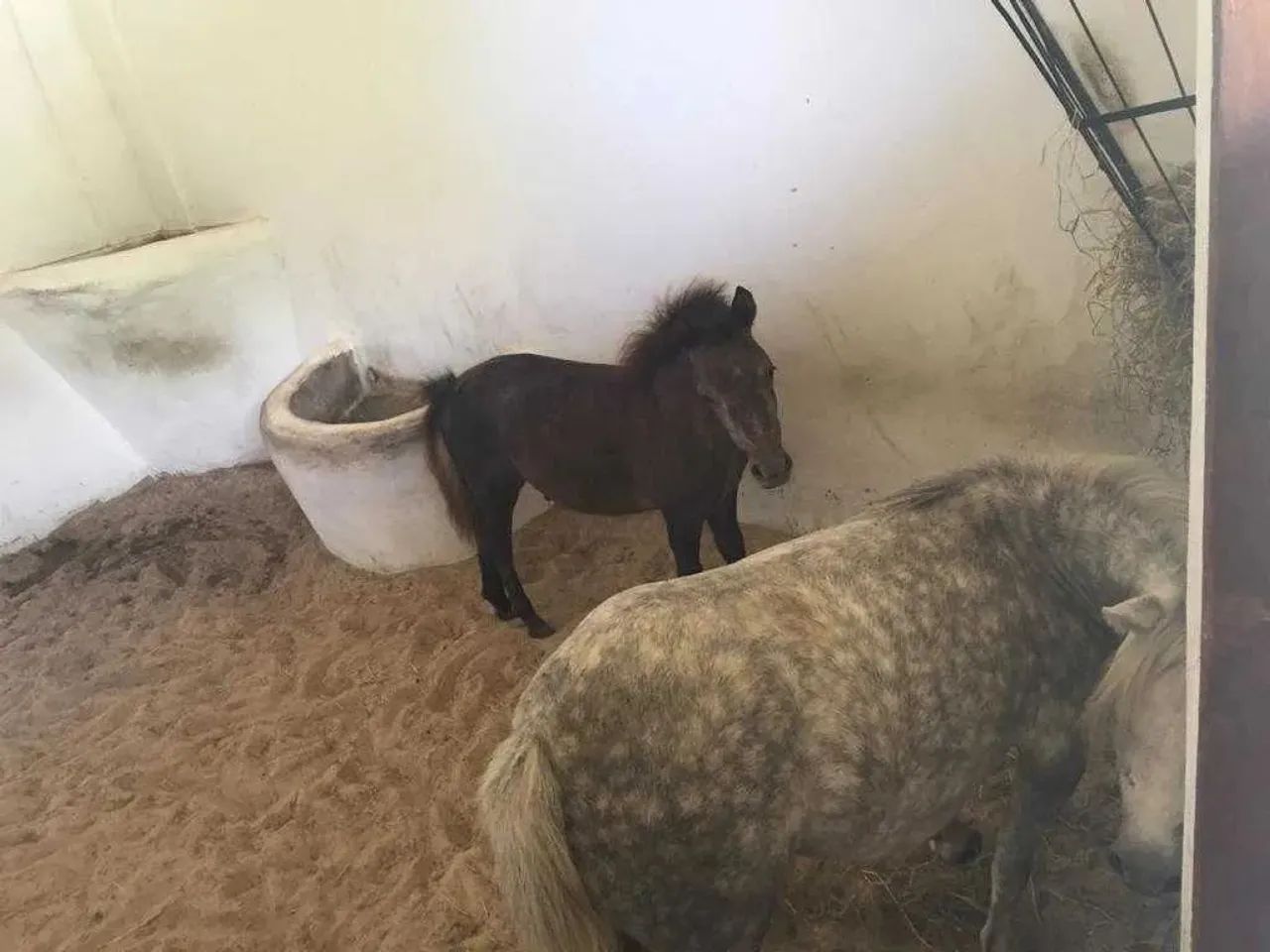 Haras Residence [4673] - Foto 4