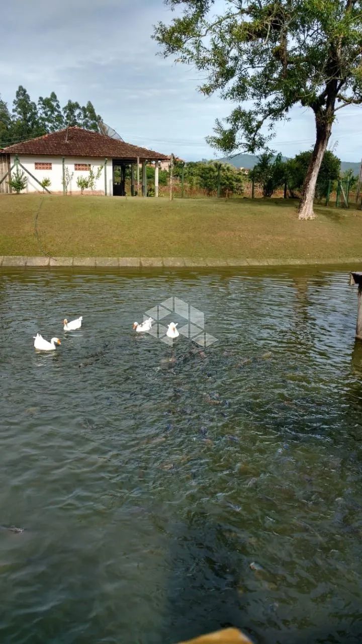 Sítio no bairro Santa Catarina, em Biguaçu - SC - Foto 3